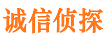 织金市调查公司